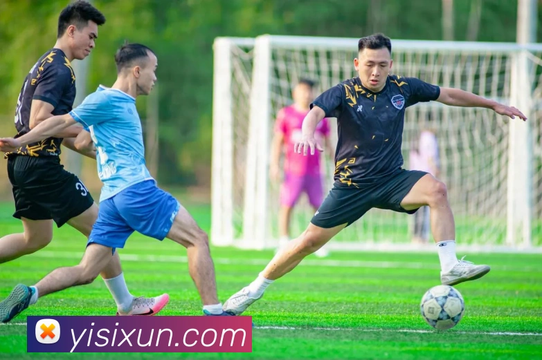 世界杯开户平台平台生态图